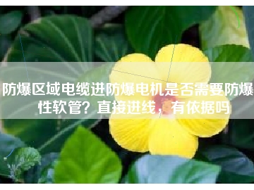 防爆區(qū)域電纜進(jìn)防爆電機(jī)是否需要防爆撓性軟管？直接進(jìn)線，有依據(jù)嗎