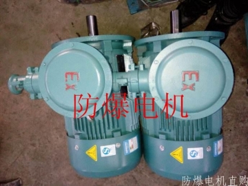 防爆電機(jī)分類：防爆電機(jī)選型、參數(shù)、定義