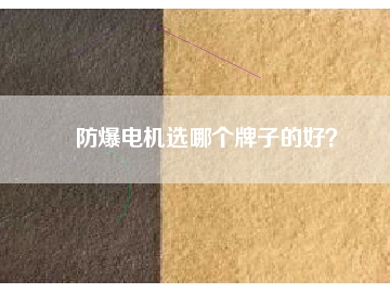 防爆電機(jī)選哪個(gè)牌子的好？