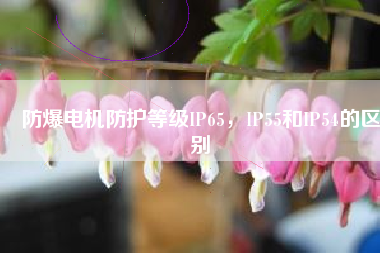 防爆電機(jī)防護(hù)等級(jí)IP65，IP55和IP54的區(qū)別