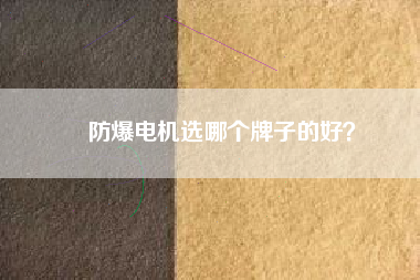 防爆電機(jī)選哪個牌子的好？