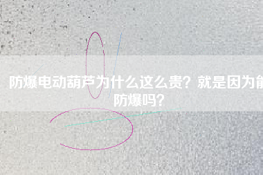 防爆電動葫蘆為什么這么貴？就是因為能防爆嗎？