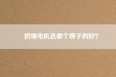 防爆電機(jī)選哪個牌子的好？